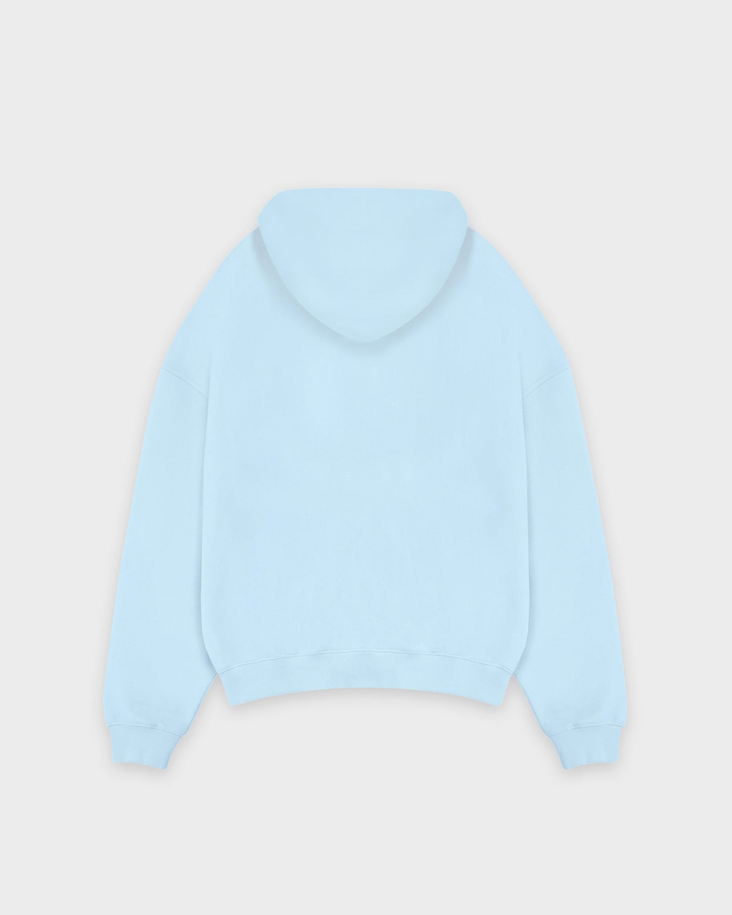 Sweat à capuche zippé basique bleu bébé épais